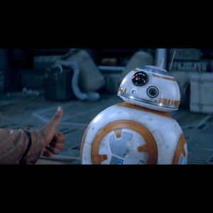 Meet your Posher, Molly